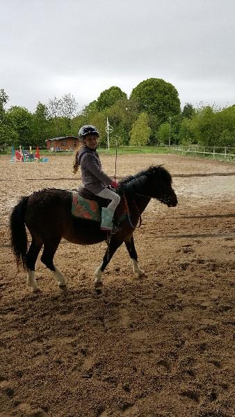 Cours poney à Pont-l'Évêque