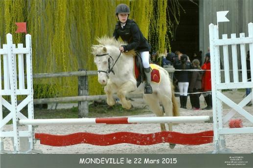 Cours d'équitation au Mesnil-sur-Blangy, Pont-l'Évêque 